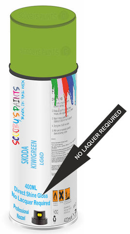 paint for Skoda Octavia