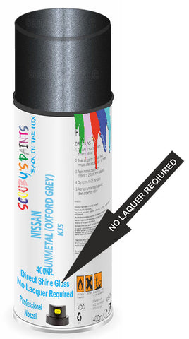 paint for Nissan Nx Coupe
