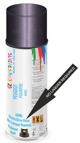 paint for Peugeot 307
