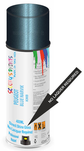 paint for Peugeot 607