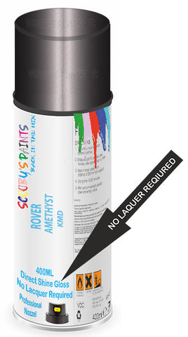 paint for Rover All