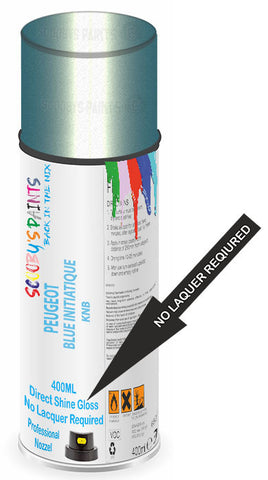 paint for Peugeot 807