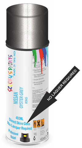 paint for Nissan Nv400