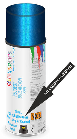 paint for Peugeot 1007