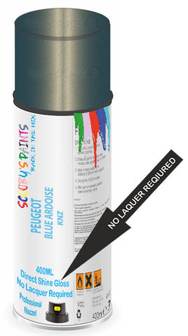 paint for PEUGEOT 