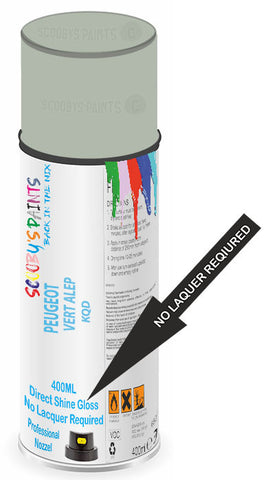 paint for Peugeot Partner