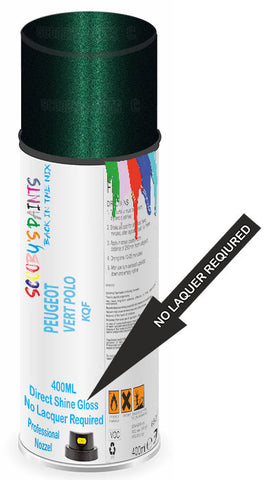 paint for Peugeot 406 Coupe