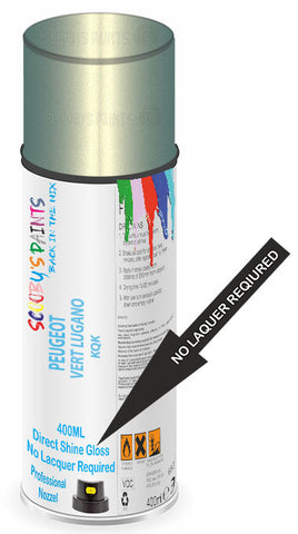 paint for Peugeot 406 Coupe