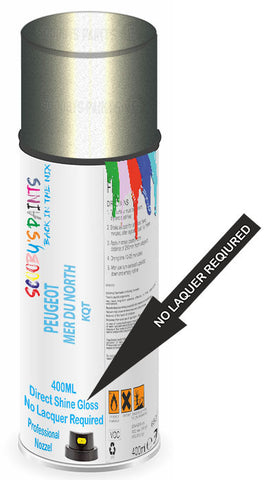 paint for PEUGEOT 