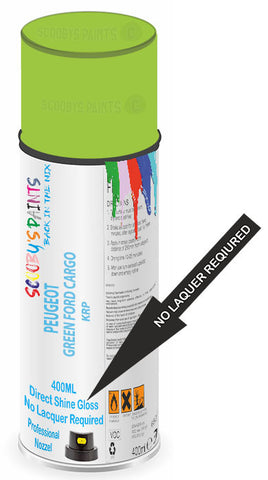 paint for PEUGEOT 