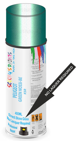 paint for PEUGEOT 