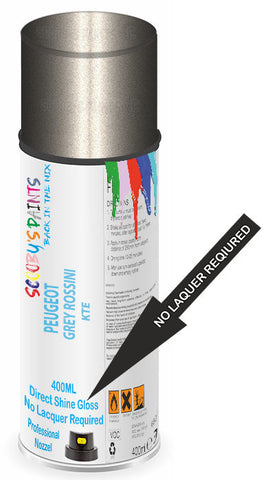 paint for PEUGEOT 