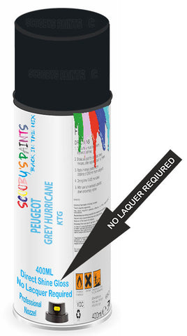 paint for Peugeot 208