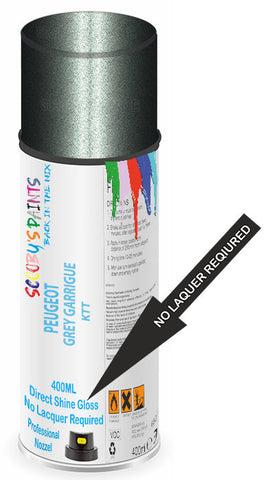 paint for Peugeot 4007
