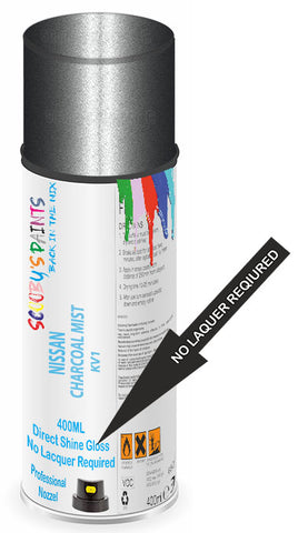 paint for Nissan Frontier