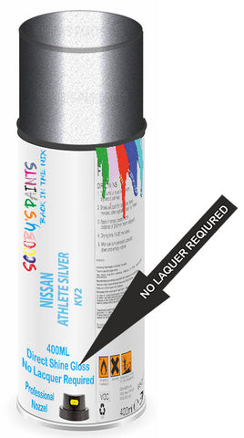 paint for Nissan Bassara