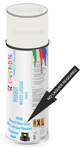 paint for Peugeot 107