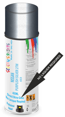 paint for Nissan Caravan