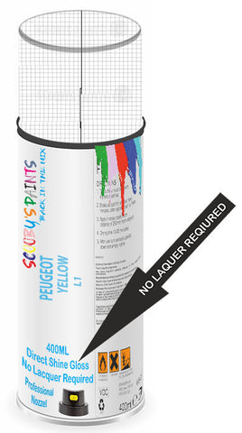 paint for PEUGEOT 