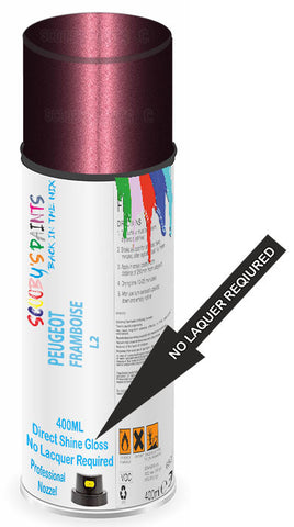 paint for PEUGEOT 