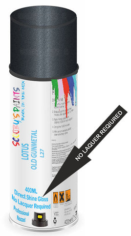 paint for LOTUS 
