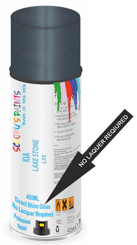 paint for Kia K9