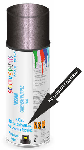 paint for Nissan March