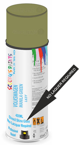 paint for Volkswagen Polo