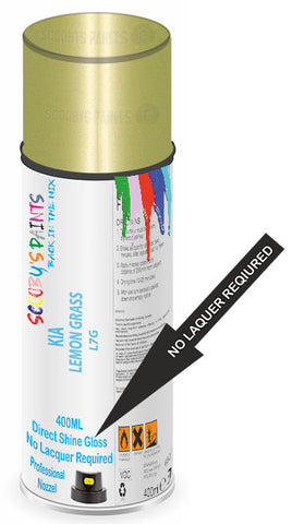 paint for Kia Picanto