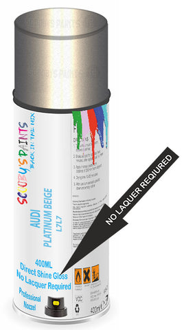 paint for AUDI A6