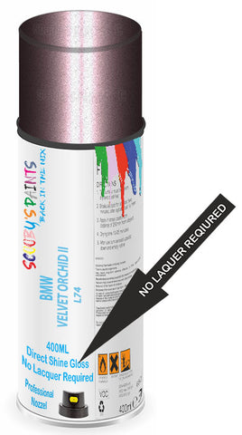 paint for BMW 