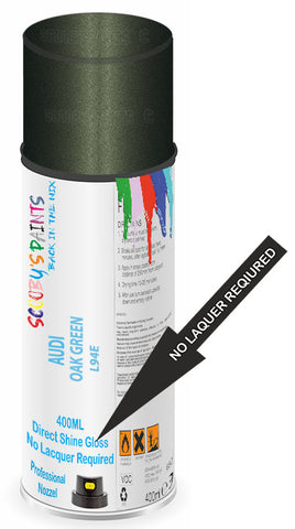 paint for AUDI A6/S6