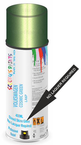 paint for Volkswagen Bora