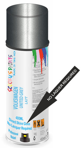 paint for Volkswagen R32