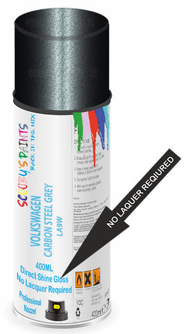 paint for Volkswagen Virtus