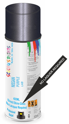 paint for Nissan Cube Cubic