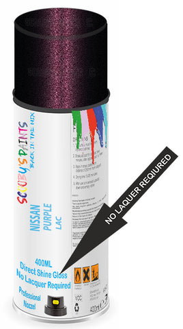 paint for Nissan Gt-R