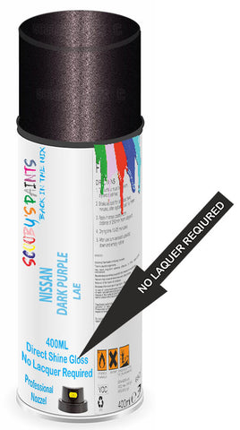 paint for Nissan Rogue