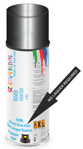 paint for Rover Montego