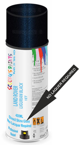 paint for LAND ROVER RANGE ROVER S