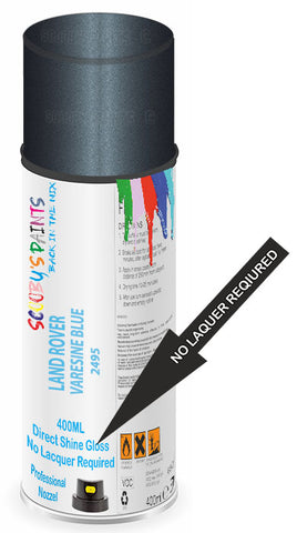 paint for Land Rover Discovery Sport