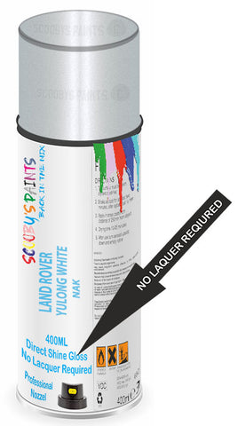 paint for LAND ROVER 