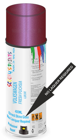 paint for Volkswagen Beetle Convertible