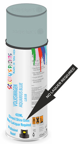 paint for Volkswagen Beetle