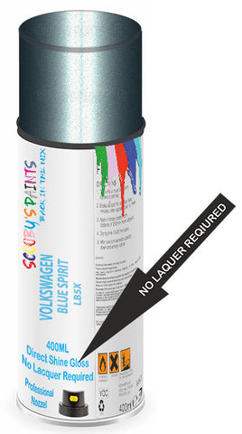 paint for Volkswagen Passat W8