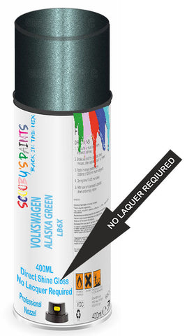 paint for Volkswagen Beetle
