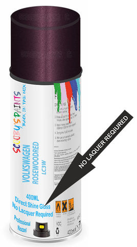 paint for Volkswagen Transporter T5