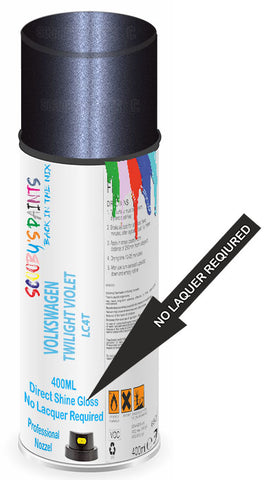 paint for Volkswagen Santana