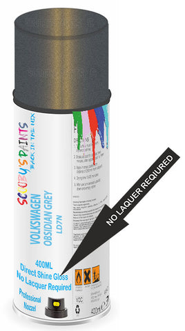 paint for Volkswagen Passat
