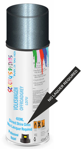 paint for Volkswagen Transporter T5